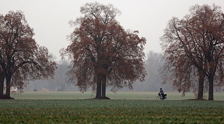 Herbstlich grau startet das Wochenende in Sachsen. Am Sonntag beginnt es zu regnen und im Bergland schneit es. (Symbolbild) / Foto: picture alliance / dpa