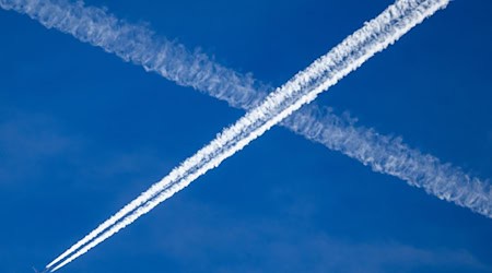 In a pilot project, young people in Dresden and Leipzig can participate in climate councils (symbolic image). / Photo: Robert Michael/dpa