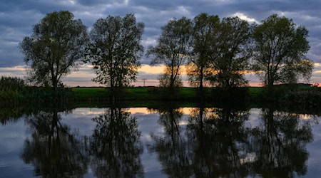 Brandenburg, Berlin und Sachsen müssen gemeinsam die Wasserversorgung in den kommenden Jahrzehnten sichern. / Foto: Patrick Pleul/dpa