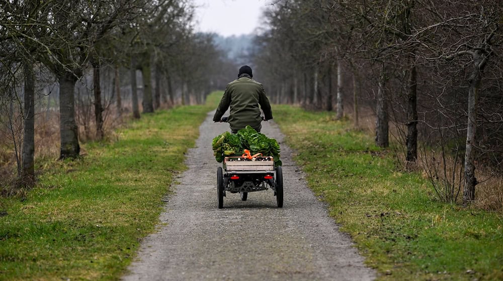 La agricultura ecológica crece en Sajonia. (Imagen de archivo) / Foto: Jens Kalaene/dpa