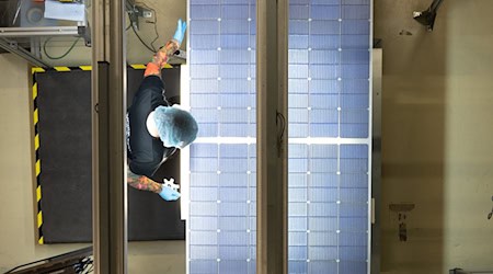 Meyer Burger erwartet eine steigende Produktionsmenge von Solarmodulen in der zweiten Jahreshälfte 2024. (Archivbild) / Foto: Sebastian Kahnert/dpa-Zentralbild/dpa