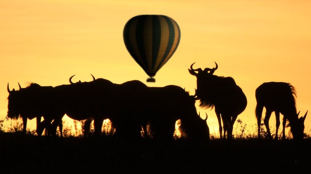 Heisluftballon am Himmel über einer Gnuherde (Bild: DIAMIR)