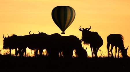Afrika - Heisluftballon am Himmel über einer Gnuherde