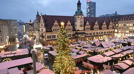 Der Weihnachtsbaum für Leipzig kommt aus dem Vogtland und soll 20 Meter hoch sein. (Archivbild) / Foto: Sebastian Willnow/dpa