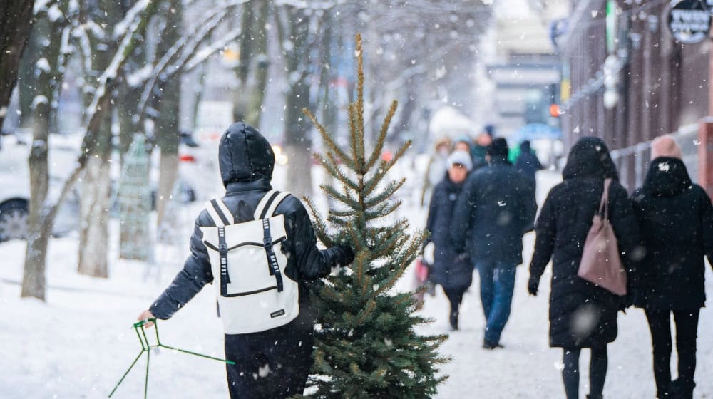 Zwischen Vorfreude und Stress: Die weihnachtliche To-do-Liste ist lang / Bild von Oleksandr Pidvalnyi auf Pixabay