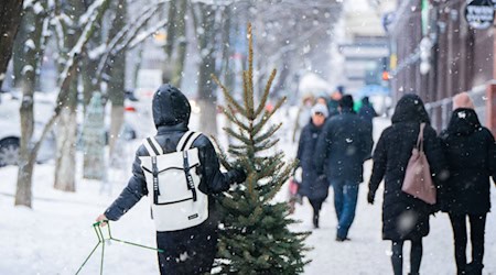 Zwischen Vorfreude und Stress: Die weihnachtliche To-do-Liste ist lang / Bild von Oleksandr Pidvalnyi auf Pixabay