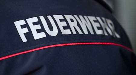 Großer Löscheinsatz der Feuerwehr bei einem Brand auf einem Fabrikgelände in Halsbrücke. (Archivbild)  / Foto: Robert Michael/dpa