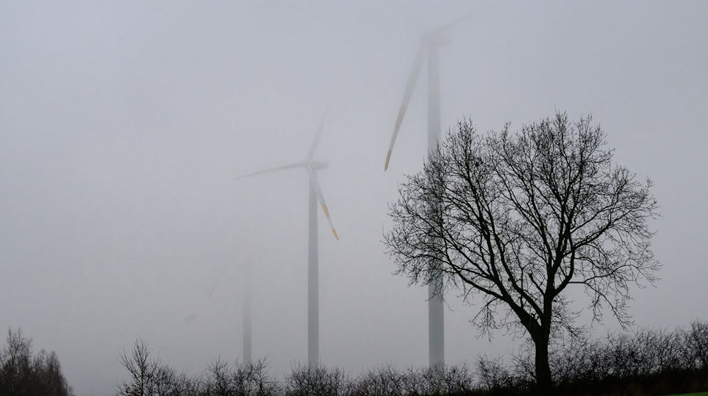 Das Wetter in Sachsen ist zum Jahreswechsel freundlich und trocken, doch die Aussichten werden im neuen Jahr schnell wieder durch Regen getrübt. (Archivbild) / Foto: Philipp Schulze/dpa