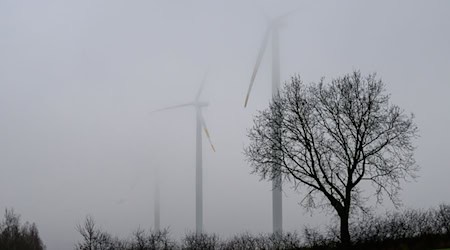 Das Wetter in Sachsen ist zum Jahreswechsel freundlich und trocken, doch die Aussichten werden im neuen Jahr schnell wieder durch Regen getrübt. (Archivbild) / Foto: Philipp Schulze/dpa