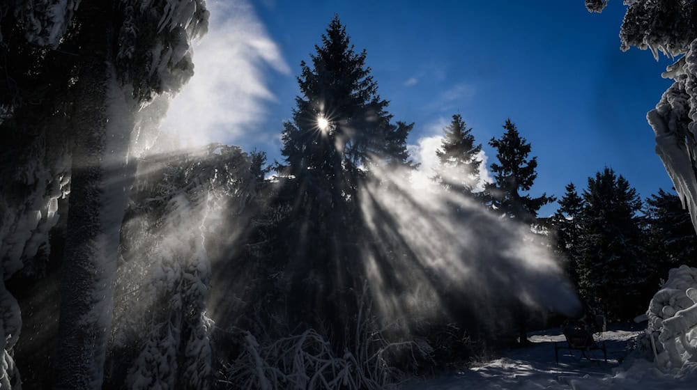 Hoffnung auf baldigen Wintersport in Sachsen: Erste Schneekanonen sind in Betrieb (Archivbild). / Foto: Robert Michael/dpa