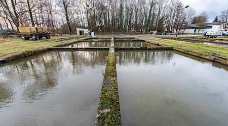 Dawaja spěchowanske miliony za přetworjenje stareho wjesneho domu w Rěčicach. (Archivbild) / Foto: Frank Hammerschmidt/dpa/ZB