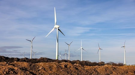 "Despite slight progress, Saxony is still at the bottom of the league of federal states," complains the German Wind Energy Association / Photo: Jan Woitas/dpa