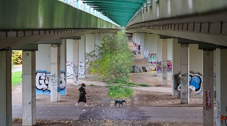 Починається перевірка мосту в Агрі. (Архівне фото) / Фото: Jan Woitas/dpa