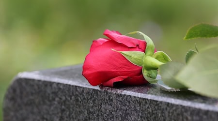 Rote Rose auf einem Grabstein