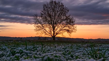 Kälte und Regen dominieren die Aussichten der nächsten Tage. (Symbolbild) / Foto: Patrick Pleul/dpa/ZB