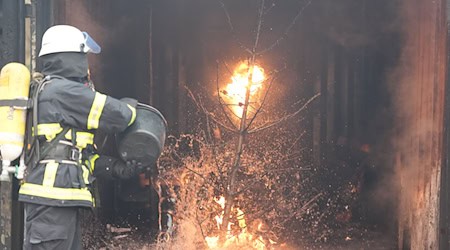 In einer Görlitzer Wohnung hat ein Weihnachtsbaum Feuer gefangen. (Symbolbild) / Foto: Marcus Brandt/dpa