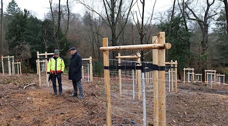  Gepflanzte Bäume im Rahmen des Modellprojekts "Klima-Baumhain" am Standort Park Siebeneichen.  Revierförster Thomas Nikol im Gespräch mit OB Olaf Raschke (r.).  Foto: Stadt Meißen