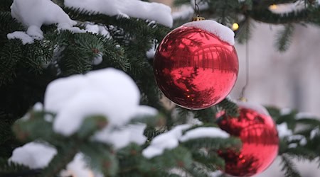 Weiße Weihnachten gibt es dieses Jahr wohl nur im sächsischen Bergland. (Archivbild) / Foto: Sebastian Willnow/dpa