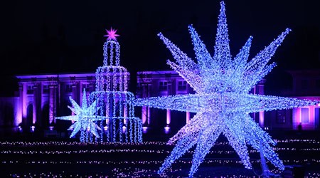 Visitor response in Saxony's Christmas Garden as in the previous year (archive photo) / Photo: Robert Michael/dpa