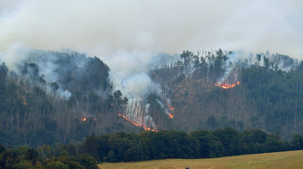 Nach dem Waldbrand in der Böhmischen Schweiz ist der Tatverdächtige im Prozess freigesprochen worden. (Archivbild)  / Foto: Hájek Ondøej/CTK/dpa