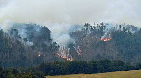 Nach dem Waldbrand in der Böhmischen Schweiz ist der Tatverdächtige im Prozess freigesprochen worden. (Archivbild)  / Foto: Hájek Ondøej/CTK/dpa