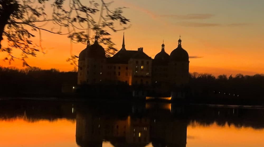 Blick aufs Schloss Moritzburg. Foto: Ulf Mallek