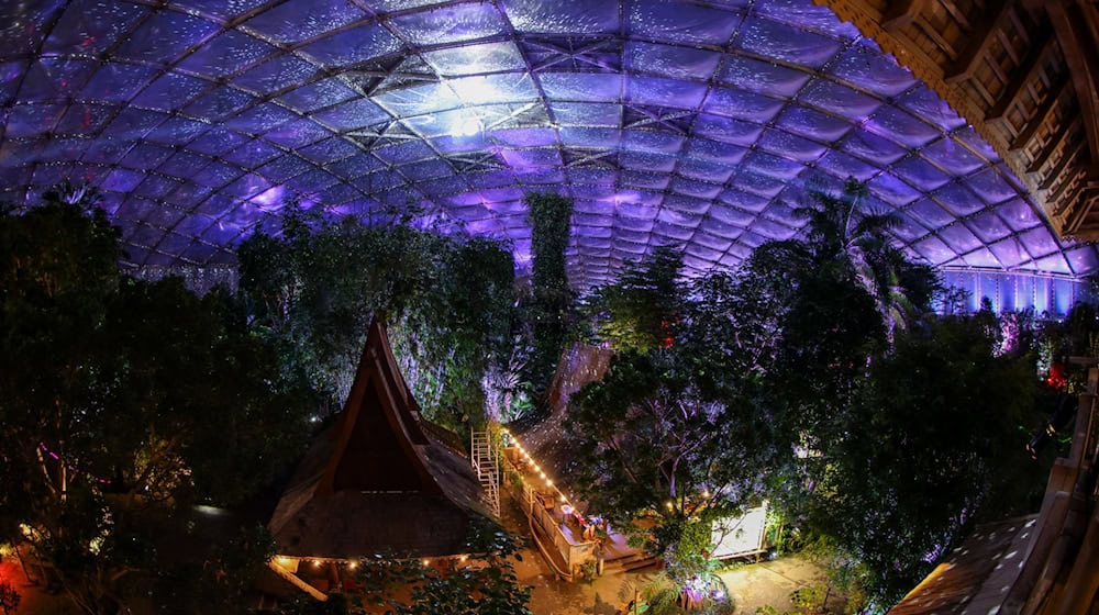 The Gondwanaland tropical hall at Leipzig Zoo is illuminated with a starry sky / Photo: Jan Woitas/dpa