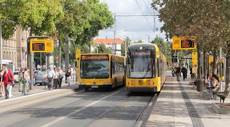 Bus und Straßenbahn DVB Pirnaischer Platz Dresden