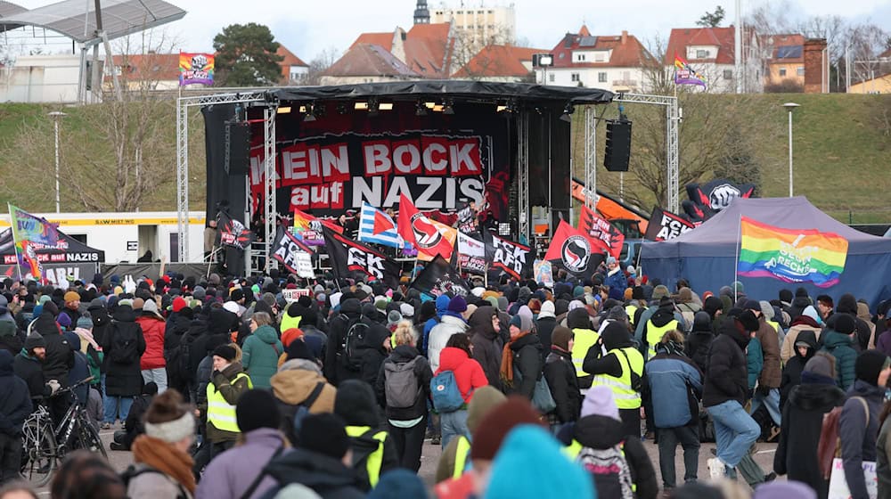 Gegen den Bundesparteitag der AfD in Riesa gab es Demonstrationen.  / Foto: Jan Woitas/dpa