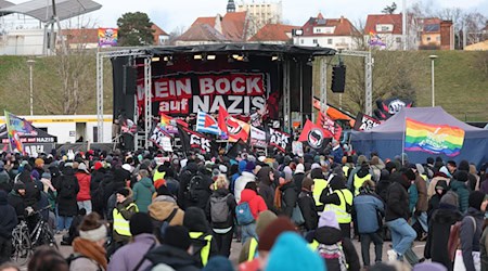 Gegen den Bundesparteitag der AfD in Riesa gab es Demonstrationen.  / Foto: Jan Woitas/dpa