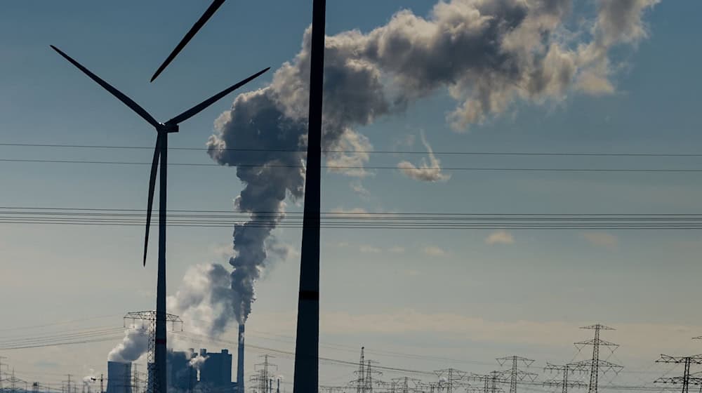 Saxony's companies invested around 15 percent more in environmental protection in 2022 than in the previous year (Symbolic image) / Photo: Heiko Rebsch/dpa