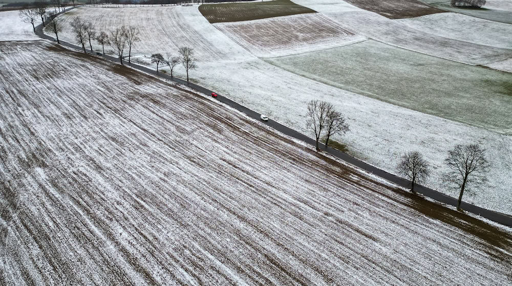 Der Januar ist gemessen an den langjährigen Mittelwerten viel zu mild gewesen. (Archivbild) / Foto: Jan Woitas/dpa