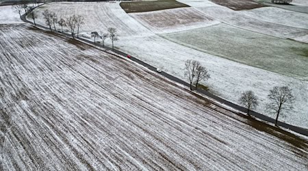 Der Januar ist gemessen an den langjährigen Mittelwerten viel zu mild gewesen. (Archivbild) / Foto: Jan Woitas/dpa