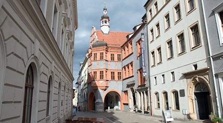  Bild «Aechma fasciata mit Jahrhunderthalle [o. T.]» des schlesischen Künstlers Oskar Moll bleibt im Schlesischen Museum zu Görlitz. (Archivbild) / Foto: Sebastian Kahnert/dpa-Zentralbild/dpa