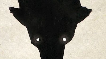 Wolf auf einem Buchcover