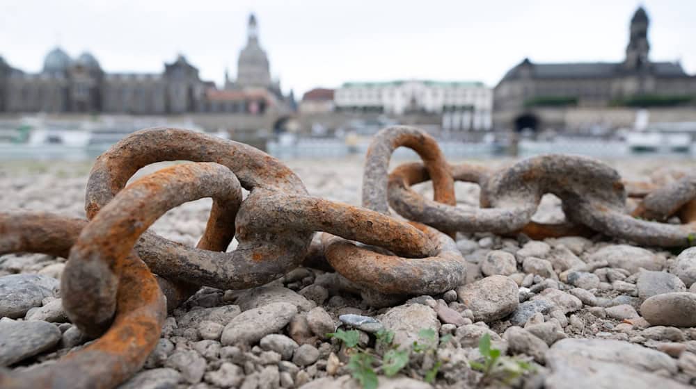 Ein Klimaforscher fordert ein Dürremanagement für Deutschland (Archivbild). / Foto: Sebastian Kahnert/dpa