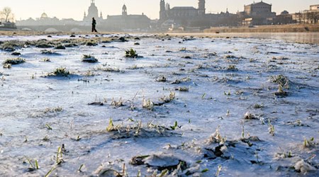 Die Woche startet in Sachsen mit Frost und Sonnenschein. (Archivbild) / Foto: Robert Michael/dpa