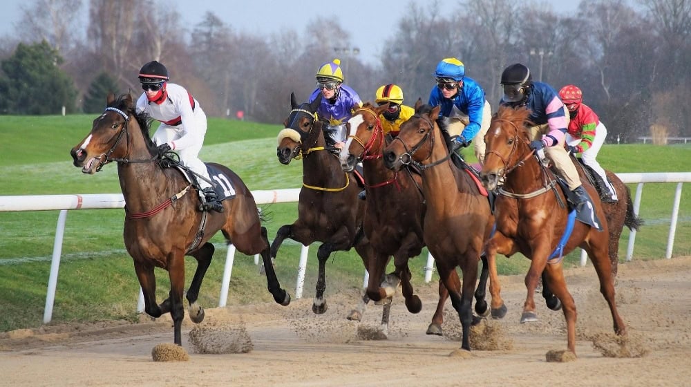 Aufgalopp im Leipziger Scheibenholz (Symbolbild) / Bild: Evgeni Tcherkasski auf Pixabay