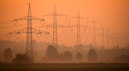 An oversupply on the German electricity market has frequently led to negative electricity prices on the exchange in 2024 (archive photo) / Photo: Julian Stratenschulte/dpa