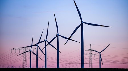 Wind ist der wichtigste erneuerbare Stromlieferant im Osten. (Archivbild) / Foto: Jan Woitas/dpa