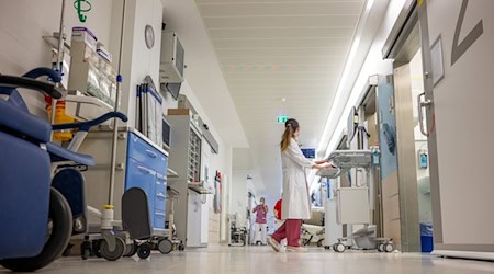 Only a few female doctors in management positions in Saxony's hospitals (symbolic image) / Photo: Harald Tittel/dpa