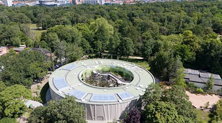 Vista del zoo de Dresde. (Foto de archivo) / Foto: Sebastian Kahnert/dpa