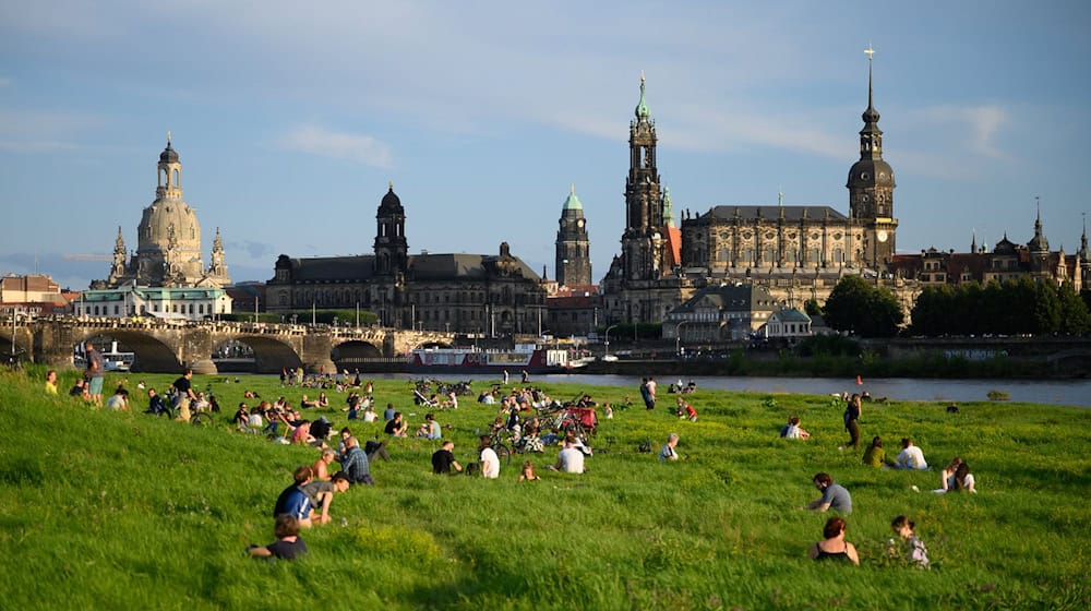 The Elbe meadows in Dresden are a popular place for relaxation and recreation (archive photo). / Photo: Robert Michael/dpa-Zentralbild/dpa