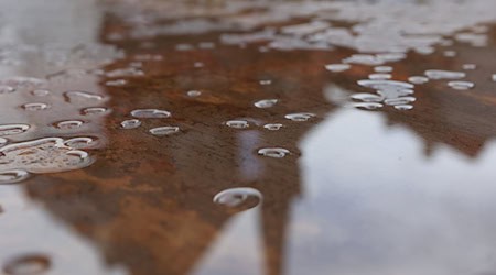 Ein bedeckter Himmel, gelegentlich Regen und zum Teil dichter Nebel bestimmen die Wetteraussichten der nächsten Tage. (Symbolbild) / Foto: Matthias Bein/dpa