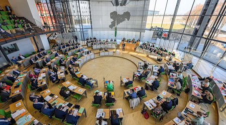 El grupo parlamentario de la AfD había solicitado una sesión plenaria especial del parlamento estatal sobre el paquete financiero de la CDU/CSU, el SPD y los Verdes en el gobierno federal. (Imagen de archivo) / Foto: Robert Michael/dpa