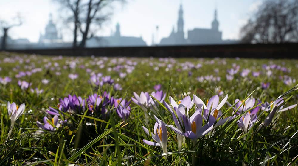 Es wird sonnig in Sachsen. (Symbolbild) / Foto: Sebastian Kahnert/dpa