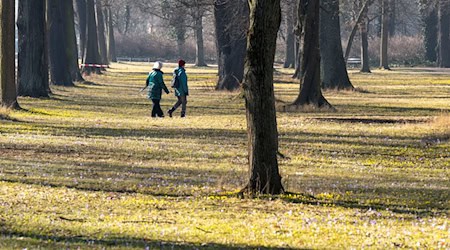 Paths in Dresden's Grosser Garten are closed due to tree maintenance. (Archive image) / Photo: Sebastian Kahnert/dpa