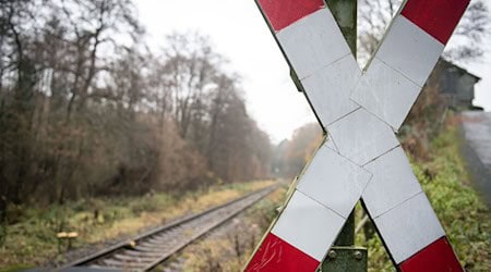 Todos los pasos a nivel de Deutsche Bahn están marcados con la cruz de San Andrés, independientemente de cómo estén asegurados.  / Foto: Bernd Thissen/dpa