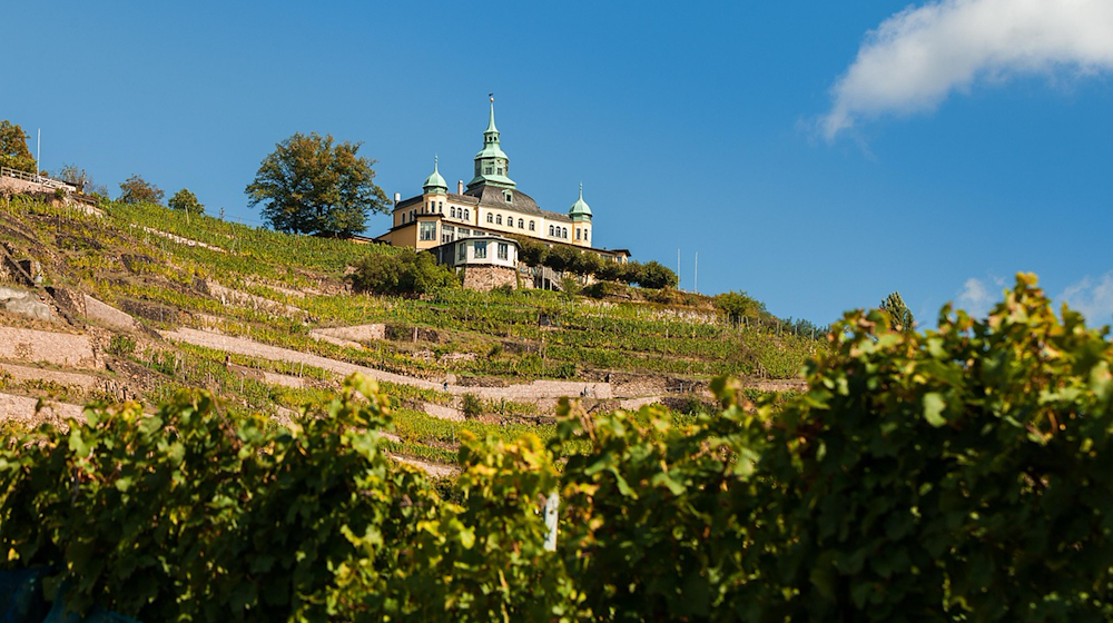 Blick aufs Spitzhaus in Radebeul / pixabay danielbahrmann.