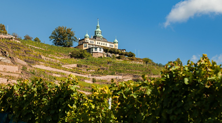 Blick aufs Spitzhaus in Radebeul / pixabay danielbahrmann.